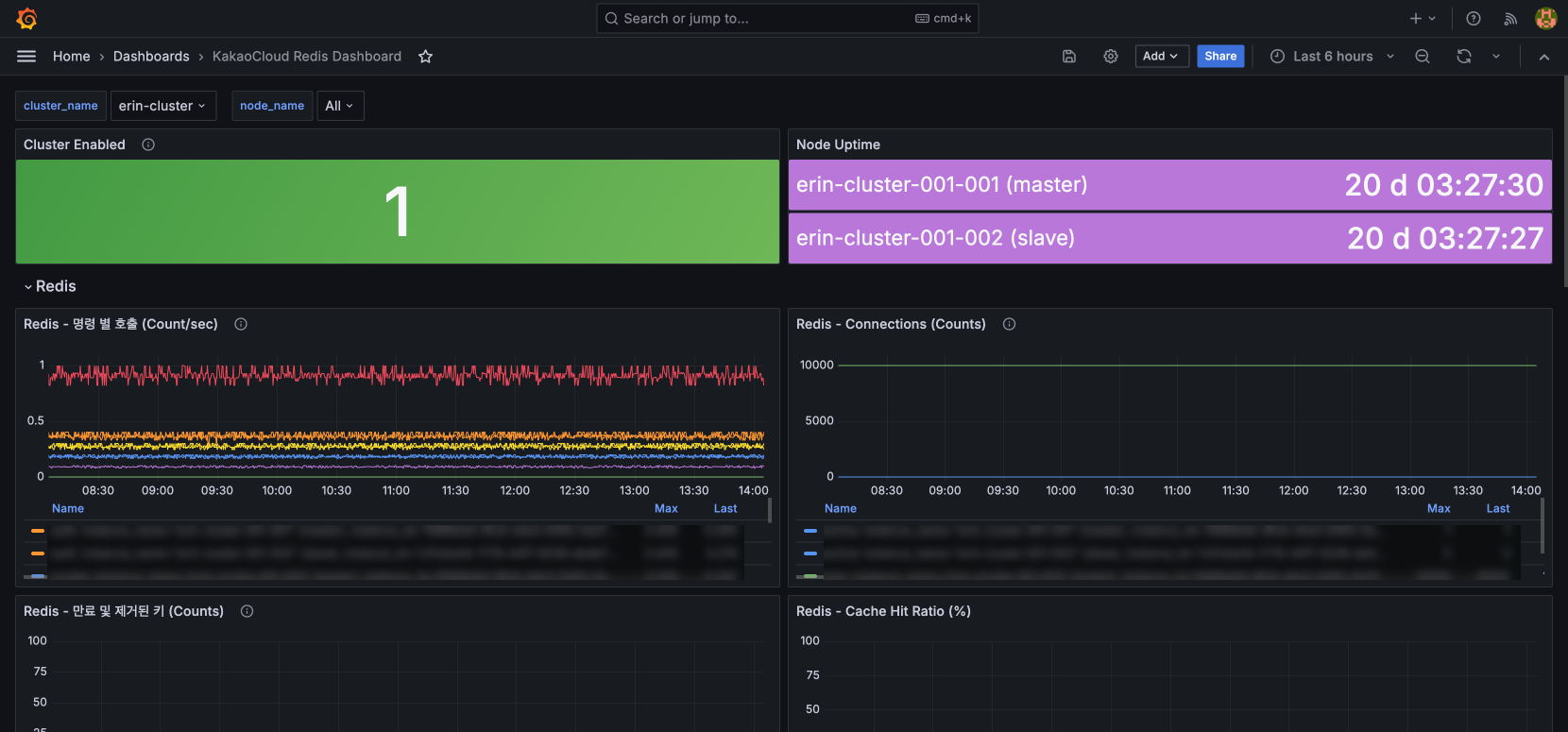 Redis Dashboard 확인